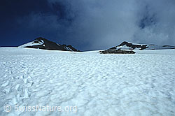DIA92092: Piz Surlej und Munt Arlas
