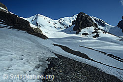 DIA92103: Blüemlisalp und Blüemlisalpgletscher