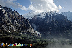 Foto: Oberer Grindelwaldgletscher