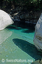 DIA93296: Fluss im Val Verzasca