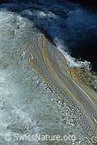 DIA93299: Geschliffener Fels in der Verzasca