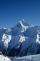 Photo: Bietschhorn von Norden