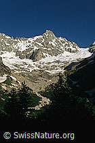 Photo: Tour Noir und Glacier de l