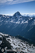 Photo: Bietschhorn von Nordwesten