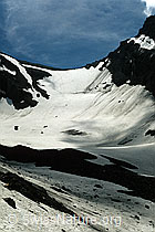 Photo: Schwarzgletscher