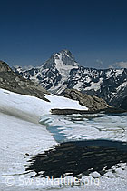 DIA95277: Bietschhorn von Nordwesten