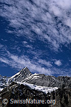 Foto: Eiger und Challifirn