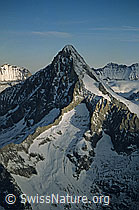DIA98107: Bietschhorn von Süden