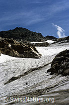 Foto: Helsenhorn und Helsengletscher