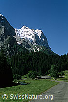 DIA99153: Wetterhorn und Scheideggwetterhorn
