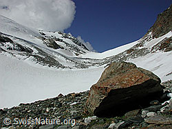 Foto: Felsblock, Gletscher, Steinijoch