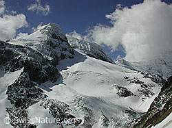 Foto: Mättital: Winterliches Hillehorn