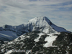 DSCN0190: Nordwand des Bortelhorn