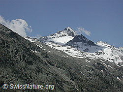 DSCN0313: Berghaus Oberaar: Löffelhorn