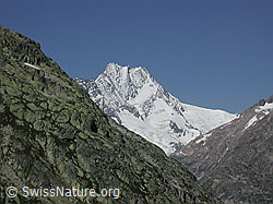 DSCN0314: Lauteraar- und Schreckhorn