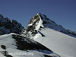 Foto: Aufstiegsspur und Gipfel der Bütlasse