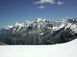 DSCN0463: Bütlasse: Wetterhorn, Eiger, Mönch und Jungfrau