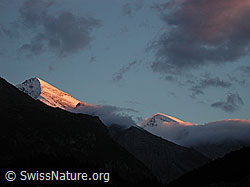 DSCN0999: Abendstimmung über Altels und Rinderhorn