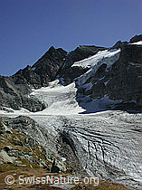 Foto: Ofenhorn und Tälligletscher im Sommer