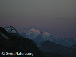 DSCN1119: Morgenstimmung Hillehorn, Weisshorn, Bishorn