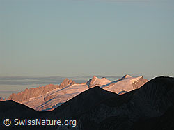 DSCN1135: Gross Fusshorn, Rotstock, Geisshorn im Morgenlicht