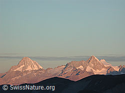 DSCN1136: Morgenlicht auf Bietschorn, Nesthorn, Breithorn