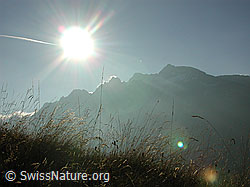 DSCN1378: Schinhorngruppe im Gegenlicht