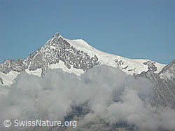 DSCN1407: Aletschhorn mit Wolkenkragen