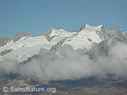 DSCN1408: Gross Fusshorn, Rotstock und Geisshorn
