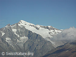 DSCN1414: Gross Wannenhorn