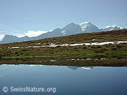 DSCN1442: Schwarzhorn von N. Spiegelung