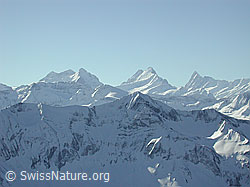DSCN2796: Türstenhäuptli: Wetterhorn, Schreckhorn, Finsteraarhorn