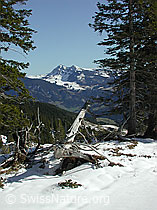 DSCN2811: Fürstein und Bergwald