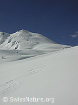 DSCN2878: Hirli, Binntal und geschwungene Abfahrtsspuren