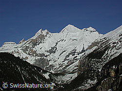 Photo: Kandersteg: Blüemlisalphorn und Oeschinenhorn