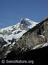 DSCN3002: Kandersteg: Ärmighorn