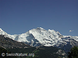 DSCN3532: Jungfraujoch und Jungfrau von Isenfluh