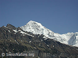 DSCN3537: Tschuggen, Mönch und Jungfraujoch von Isenfluh