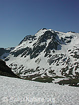 DSCN4441: Mittlenbärg: Albrunhorn