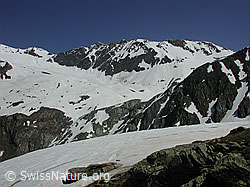 DSCN4450: Mittlenbärg: Strahlgrät, Binntal