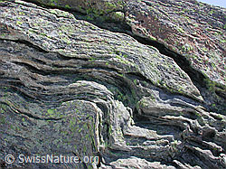 DSCN4464: Faltung im Bündner Schiefer
