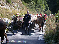 DSCN5031: Senn mit Kühen