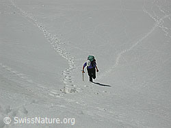 DSCN5376: Alpinist im Aufstieg zum Mittlenbärgpass