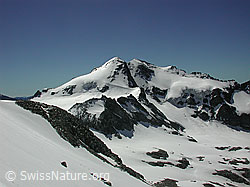 DSCN5378: Ofenhorn vom Mittlenbärgpass