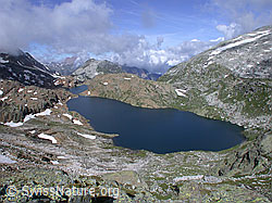 DSCN5720: Geisspfad- und Züesee. Blick vom Grampielpass