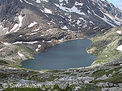 DSCN5733: Geisspfadsee und Züesee