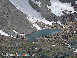 DSCN5765: Schweizer Bergsee unterhalb Geisspfad