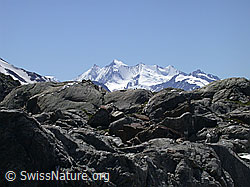 DSCN6052: Blauseegebiet: Mischabelgruppe