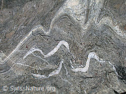 DSCN6055: Faltung im Fels