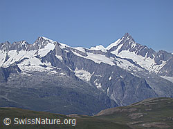 DSCN6070: Gross Wannenhorn und Finsteraarhorn